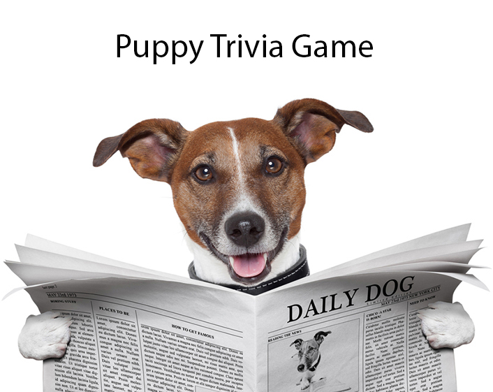 puppy trivia